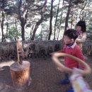 옥계동부초등학교 병설유치원 이미지