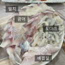 양산시청 | 양산 대방어 횟집 &#39;와와수산&#39;, 남부시장과 양산시청 근처 활어회 맛집 후기