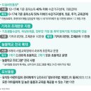 0∼1세 영아기 지원금 2000만원 + α…“저출산 지원 대폭 확대” 이미지