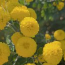 장기 | 인천공항 주차장 이용 장기주차 비용 무료 후기