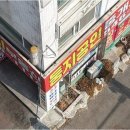 둥지부동산중개사무소 이미지