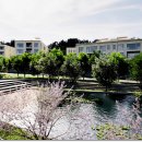 세곡바로공인중개사사무소 이미지