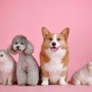 삼송역 3번출구 약국 이미지