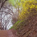 시인의 공원 이미지