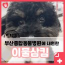 수종합동물병원 이미지
