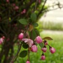 낙동강변로 이미지