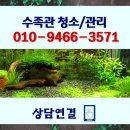 강동수족관