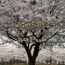 아마존 | 베이비뵨 바운서 직구 후기｜아마존 재팬 + 할인 + 무료배송 꿀조합