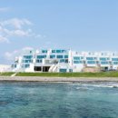 오션트리 이미지