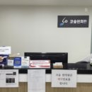 코숨한의원 | 코숨한의원 비염치료 받아본 후기 (+시너지템)