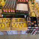 정성고기 과일포유 이미지