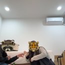 (주)한국유니메디칼 | [여행후기] 나의 묵호여행코스, 묵호 가볼만한곳 모음집 zip (숙소부터 맛집, 기념품까지/내돈내산)