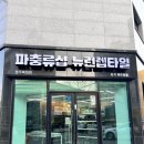 파충류샵 렙타일스테이션 | 청주파충류샵 복대동 뉴런렙타일 후기!