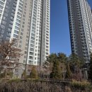 옥길힐공인중개사사무소 이미지