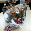 원예 테라리움 이미지