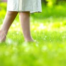 숲속의펜션 이미지