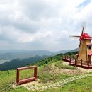 군위상회