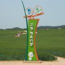 나성농장 이미지