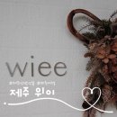 동광카인테리어 | 제주여행 산방산뷰 카페 제주 위이 wiee 재방문 후기
