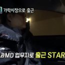 새벽청과