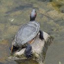 우이천 산책로 이미지