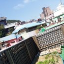 수정동농장 이미지