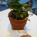 동백베이커리 이미지