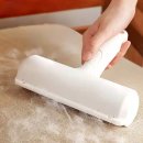 올리브 펫 이미지