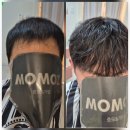 모모즈헤어&증모 | 부산 탈모 자연스러운 붙임머리 모모즈헤어