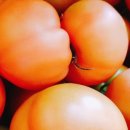 오빠야농장 이미지