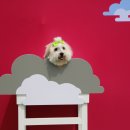 청담바른약국 이미지