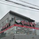 벨라지오모텔 | 펫츠고 2025순천 댕댕 트레인 펫 패키지여행 내돈내산 후기🐶 &lt;1편&gt;