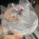 [일원1] 나도 부동산 전문가가 될 수 있다 | 3일 72시간 단식 후 정신병 걸리다 (디,질뻔)