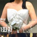 허치벨 네이버블로그