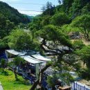 61지례흑돼지 이미지