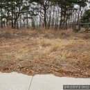 강화토지개발 공인중개사 사무소 이미지