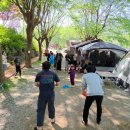 강변의 숲속 이미지