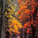 world (월드, 세계, (사람들과) 어울리다) 어원 이미지