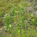 민욱농장 이미지