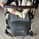 유니시트