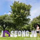 성밖숲정보센터 이미지