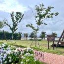 무안황토갯벌랜드(제1주차장) 이미지