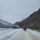 승강장위2교 | 발왕산의 겨울연가