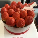 팔도국밥 경산사동점 | 경산 카페 추천! 생각보다 쾌적했던 사동 투썸플레이스 스초생 교환 후기