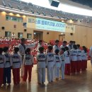 리라태권도 이미지