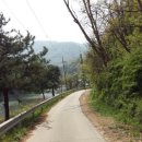 비학농원 캠핑장 이미지