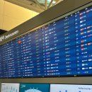 1508 | 인천-오이타 제주항공 7C1508 가격 탑승후기 / 오이타IN 후쿠오카OUT 루트 추천