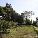 심플토산 이미지