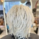 서울대입구역 6번출구 앞 이미지