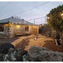 서쪽에서(귤이네) 이미지